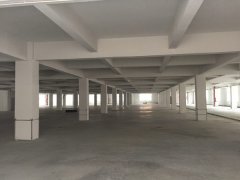广州增城新塘客运站附近800-3600方全新厂房招租