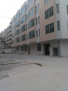 广州增城新塘客运站附近800-3600方全新厂房招租