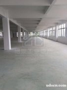 新塘独院标准厂房出租