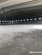 新塘 独院全新钢结构厂房出租