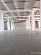 花东独门独院全新厂房仓库出租 25000平方厂房出租
