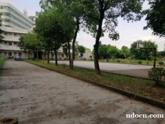 三水标准钢构厂房  带牛腿  滴水16米  厂房招租